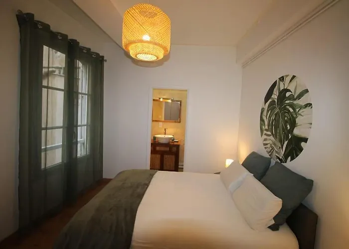 Apartament Hypercentre Albi