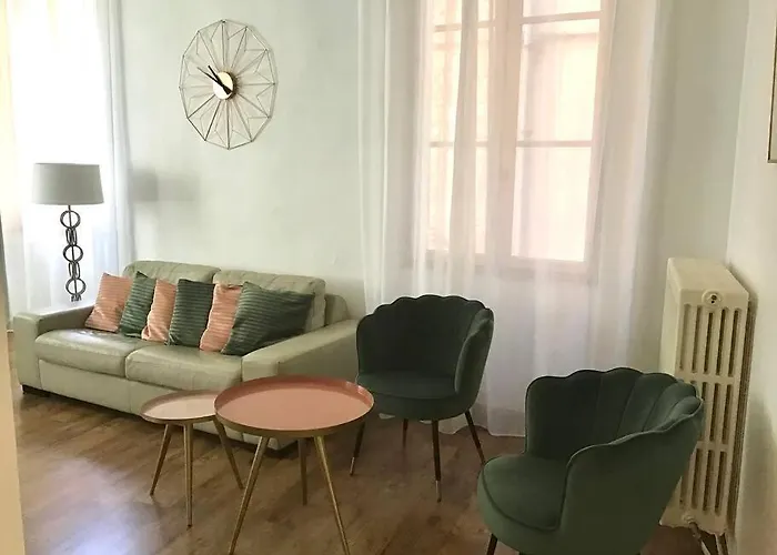 Hypercentre Apartament Albi