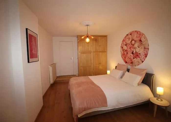 Hypercentre Apartament Albi